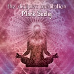 Mark Seelig - Whirling Meditation