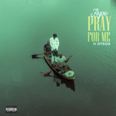 Pray For Me (feat. Otega) [Remix] song art
