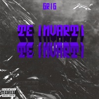 Te Invarti - Single - Grig