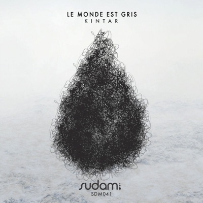 Le Monde Est Gris (feat. Luxury) - Single