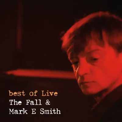 Best of The Fall & Mark E Smith (feat. Mark E Smith) [Live] - The Fall