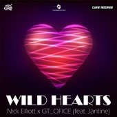 Wild Hearts artwork