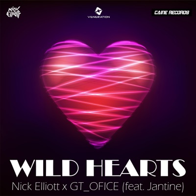 Wild Hearts - Single