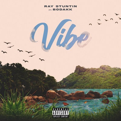 Vibe (feat. Bodakk) - Single