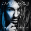 David Garrett - Swan Lake Theme artwork