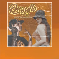 Orgullo (feat. Whatever flowers) - Single - tr3s h indominati