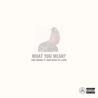 WHAT YOU MEAN? (feat. Yang Ocean, DL & CAM!) - Single - Fade Orange