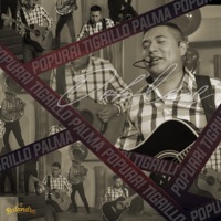 Popurrí Tigrillo Palma - Single - Grupo Doble S