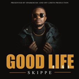 GOODVIBZ (feat. STINO) skippe