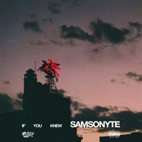 If You Knew - Single - Samsonyte