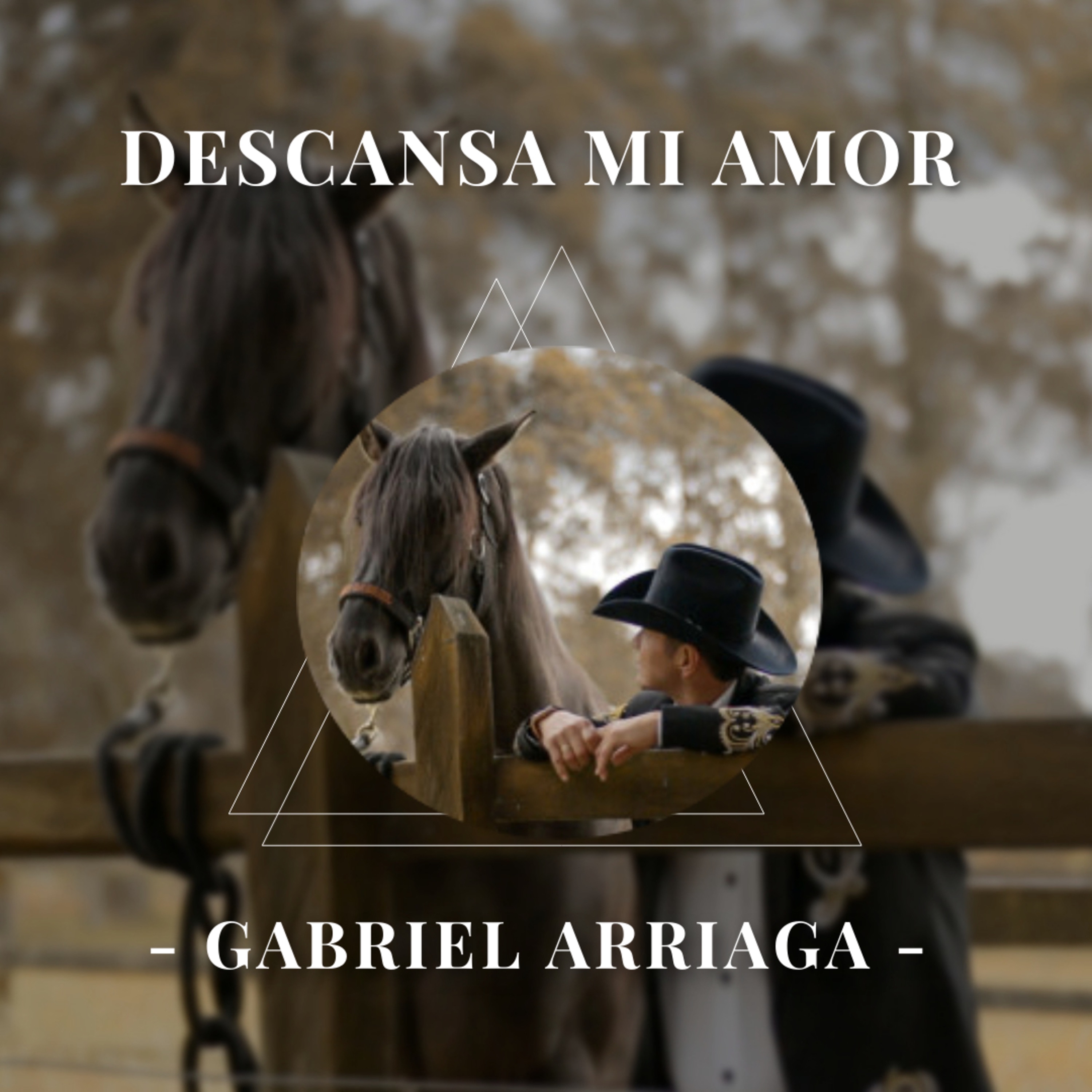 Descansa Mi Amor - Single