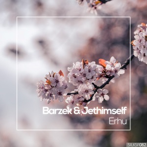 Erhu - Single