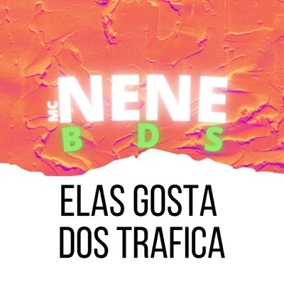 Elas Gosta dos Trafica (feat. DJ Duduzin Perez) - Single