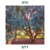 STT - Single