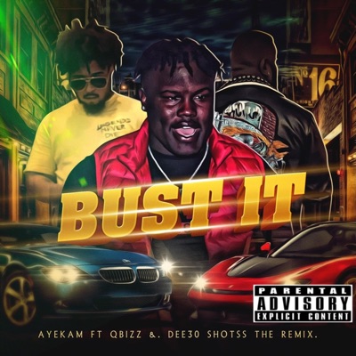 Bust It (feat. Q Bizz & Dee30shotss) [Remix] [Remix] - Single