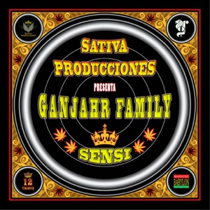 Sensi - Single