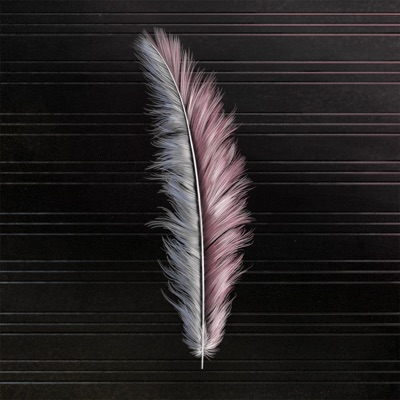 Black and White - Single