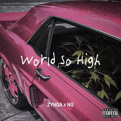 WorlD SO HigH (feat. NG & Swxgt) - Single