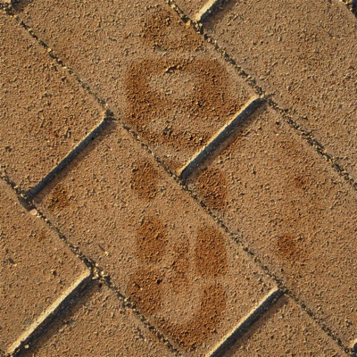 Careless (feat. Cmoon, H.Grue & IllInk) - Single