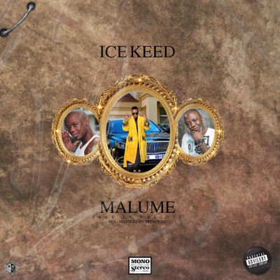 Malume - Single