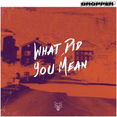 What Did You Mean - Single