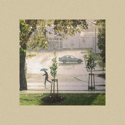 Rainfall - Single