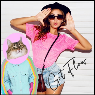 Got Flow (feat. Bijouxe) - Single