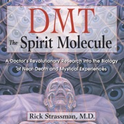 DMT: The Spirit Molecule (Unabridged) - Rick Strassman