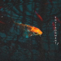 Environment - Single - Key One