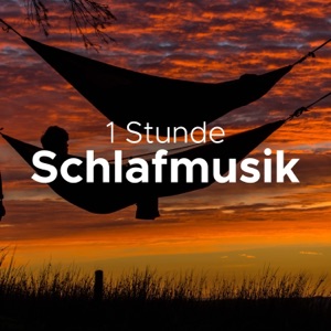 Schlafmusik: 1 Stunde Gesunder Schlaf, Musik zum Einschlafen Schlafen Entspannen