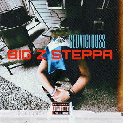Big Z Steppa - Single