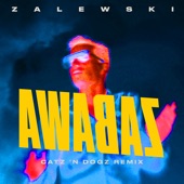 Zabawa (Catz 'n Dogz Remix) artwork