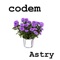 Astry - Codem lyrics