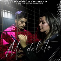Mi delito (feat. Mambo ranchero, sentimiento musical & majo gallardo) - Single - Sektro