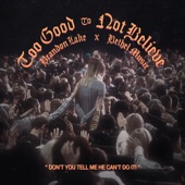 Too Good To Not Believe (Live) artwork