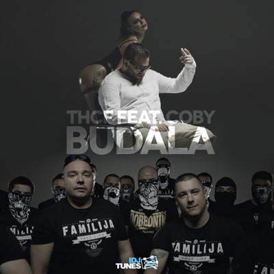 Budala (feat. Coby) - THCF | Shazam