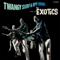 The Exotics - Surf Burglar