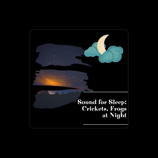 Night Nature Sounds's avatar