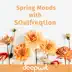 Spring Moods With SOulfreqtion (DJ Mix) album cover