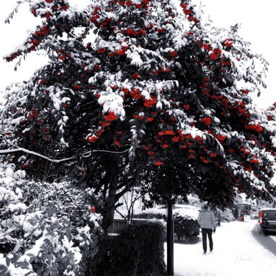 every time is our time - Single