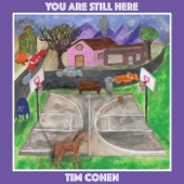 Tim Cohen - Rage On