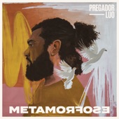 Metamorfose artwork