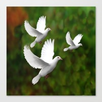 White Doves (feat. Lack Honey) - Single - 2'Live Bre