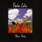 I Don't Want To Wait (Album Version) - Paula Cole lyrics