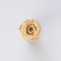 Come Away With Me (feat. Dennis Diaz) - Single - Soof