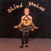 Blind Melon - Seed To A Tree