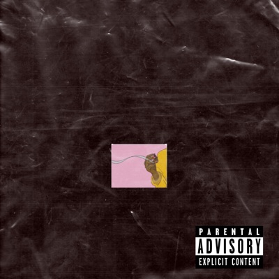 Won't Cop (feat. Macceaux) - Single