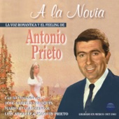 La Novia (feat. Orquesta De José Sabre Marroquin) artwork