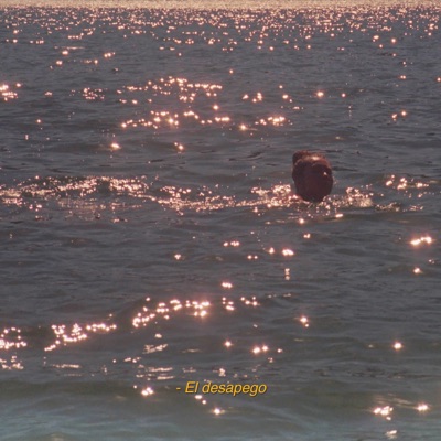 Desapego - Single