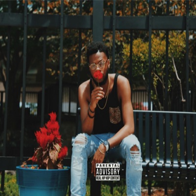 Rose in the Concrete - Single